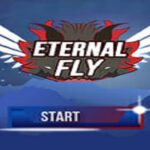 Eternal Fly